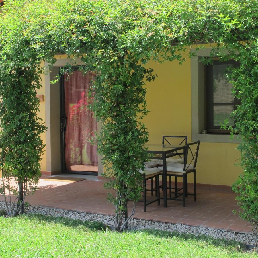Agriturismo Podere Filicaia 산 조반니 발다르노 외부 사진