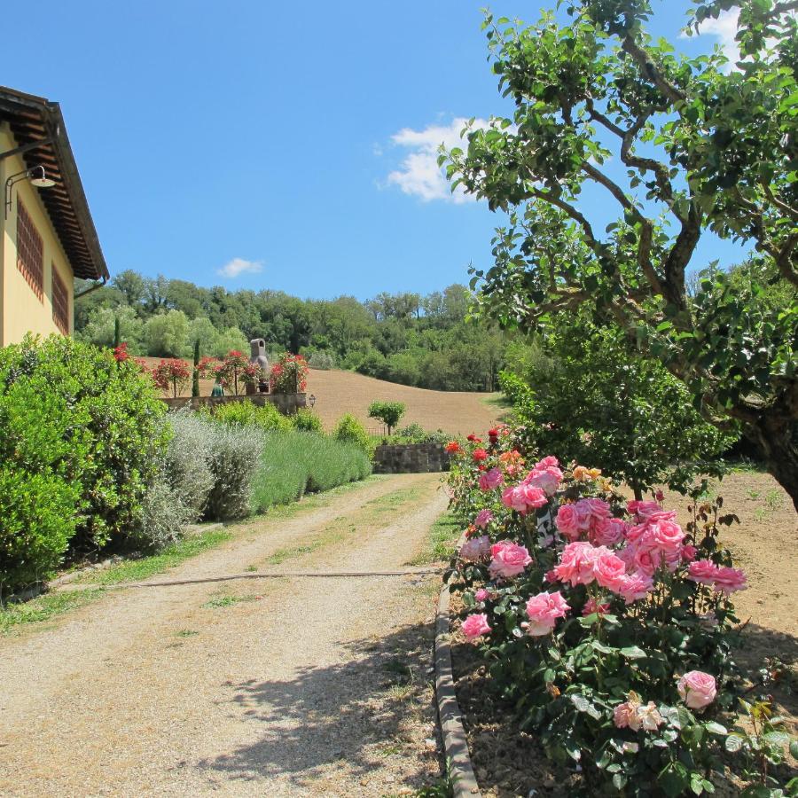 Agriturismo Podere Filicaia 산 조반니 발다르노 외부 사진