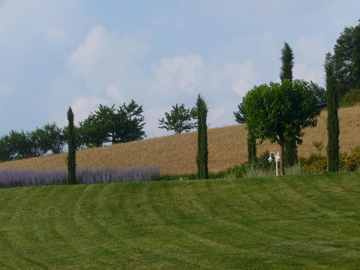Agriturismo Podere Filicaia 산 조반니 발다르노 외부 사진